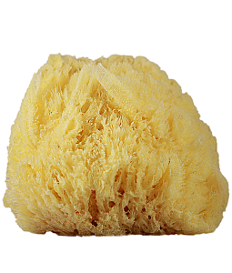 Sponge bath PNG-81473